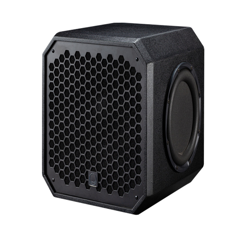 Outdoor Power Amplifier - Professional 12-Inch Active DJ Speaker Outdoor