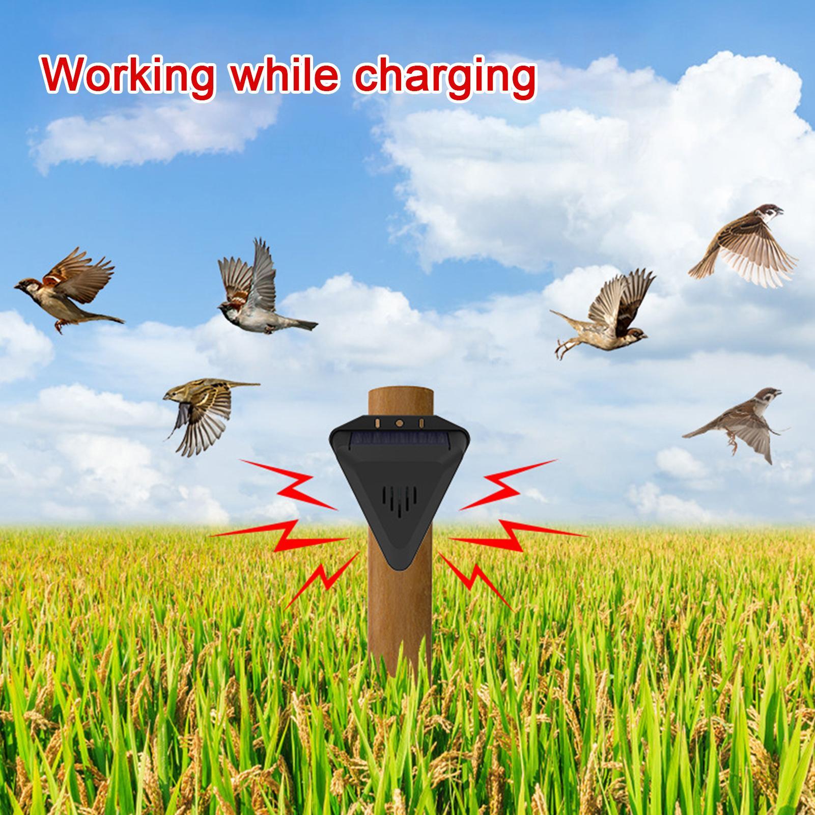 Solar Timer Bird Repeller With - Outdoor Power Timer 评论和价格