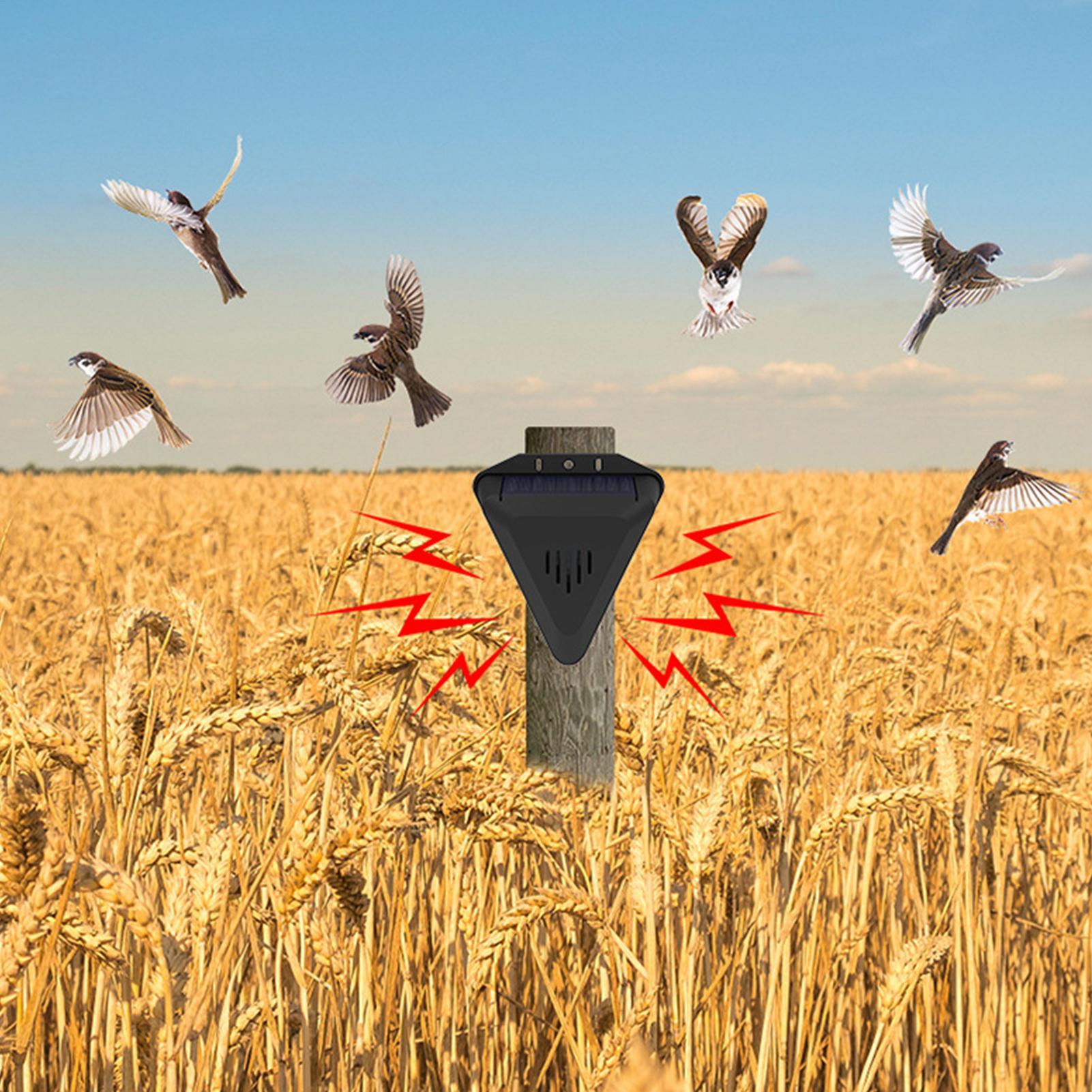 Solar Timer Bird Repeller With - Outdoor Power Timer 评论和价格