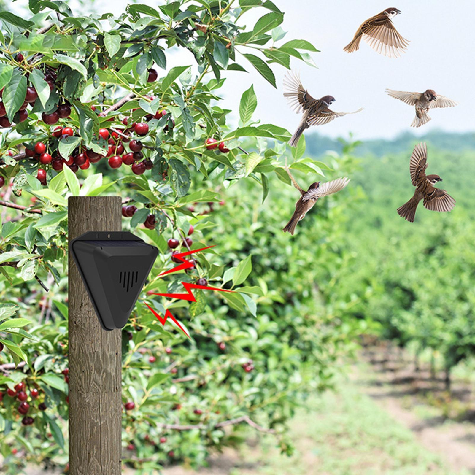 Solar Timer Bird Repeller With - Outdoor Power Timer 评论和价格